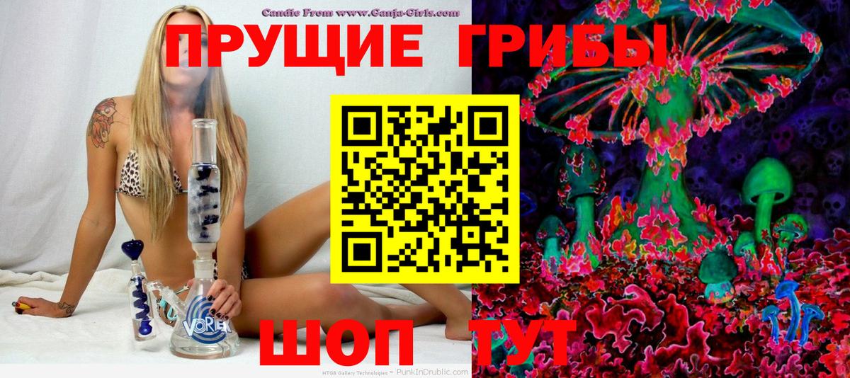 Галлюциногенные грибы Magic Shrooms Торжок